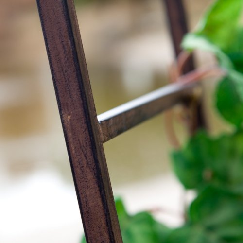 Coral Coast Coral Coast Acropolis Extra Wide Metal Arbor, Iron, 56W x 12D x 79H in. - Thumbnail 7