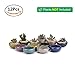 T4U 2.5 Inch Small Ceramic Succulent Planter Pot with Drainage Hole Set of 12, Ice Crack Glaze Plant Container for Cactus, Plant Lover Gifts for Women Mom Aunt Home Office Decor