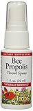 Natural Factors - Bee Propolis Throat Spray, Naturally Soothing, 100 Servings (1 oz)