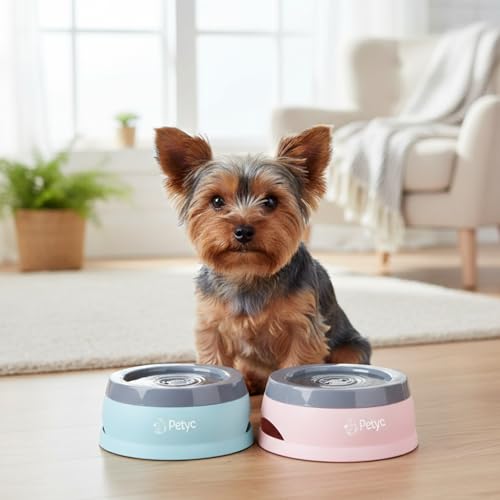Bebedouro Para Cachorro Gato Pelo Longo Não Molha PETYC Pote de Água Antiderrapante Pelo Sequinho (Azul Turquesa)