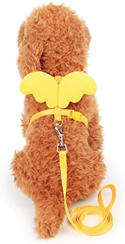 Dog Harness With Leash 4 ft Angel Wings Cat Guinea Pig Small Pet Puppy Cute Running Jogging Training Colorful Adjustable Traffic Loop(Yellow, M)