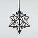 YOBO Lighting Clear Glass Moravian Star Pendant Lights Chandelier, 8 Inch