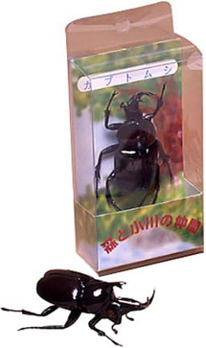 Amazon 森と小川の仲間 カブトムシ 生物 動物 人体 おもちゃ