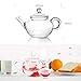 KINGSO Heat Resistant Elegant Glass Teapot with Glass Filter 250ml / 8oz