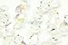 100 4mm Adabele Austrian Bicone Crystal Beads Clear AB Compatible with Swarovski Preciosa Crystalized 5301/5328#SSB402