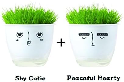 Set of 2 Funny Characters Mini Pots, Grows Well Alone, "My Own Small Garden On The Table" - A Small Gift That Makes People Feel Good is The Best