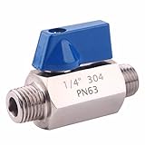 DERNORD Stainless Steel Ball Valve - 1/4 Inch NPT Thread Male Small Mini Ball Valve (1/4