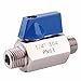 DERNORD Stainless Steel Ball Valve - 1/4 Inch NPT Thread Male Small Mini Ball Valve (1/4