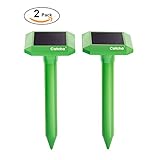 Catcha Solar Powered Sonic Mole Repeller Control Mole, Voles, Gopher Rats and Mice Chaser Spike (Pack of 2)