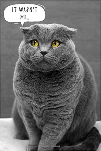 grey and white fat cat