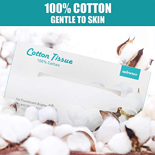 Winner Soft Facial Tissues, 6 Family Boxes, 100 Soft Dry Wipe, Cotton