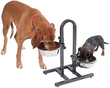correct height for dog bowl