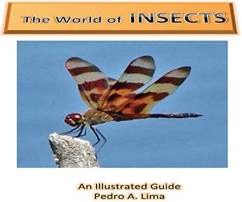 The Pictorial Encyclopedia of Insects: Václav Jan Stanek