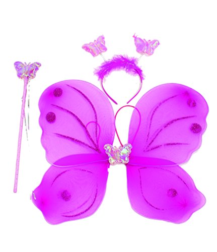 Jacobson Hat Company Women's Wing Set and Tiara