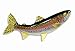 LX Handpainted Rainbow Trout Statue Game Fish Replica 10