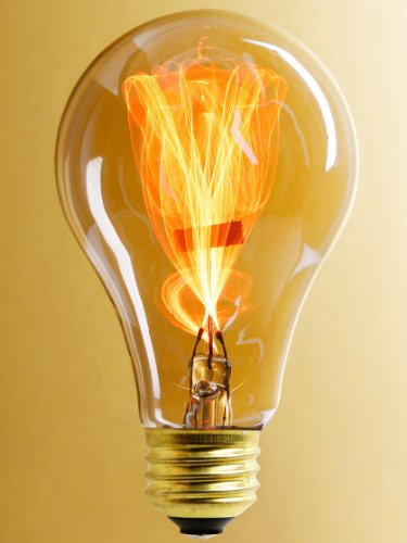 Balafire Flicker" Carbon Filament Light Bulb - 15