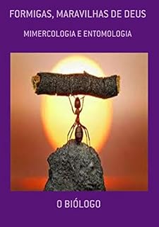 Livro Formigas, Maravilhas De Deus