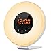 IREALIST Touch Control Alarm Clock, Sunrise Simulation Wake-Up Light with Optional RGB Night Light, FM Radio &Snooze Function