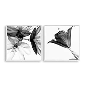 2 Piece Framed Canvas Home Artwork Decoration Transparent Flower Canvas Wall Art for Living Room, Bedroom - 16"x16"x2 Panels