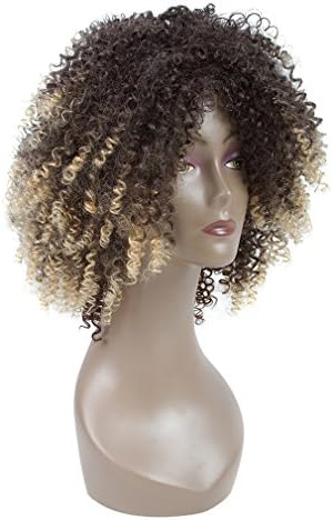 LMY Short Afro Kinky Curly Synthetic Wigs For Black Women Ombre Blonde Color Natural Hair Wigs With Bangs Cosplay Hair Cut (ombre blonde)