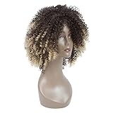 LMY Short Afro Kinky Curly Synthetic Wigs For Black Women Ombre Blonde Color Natural Hair Wigs With Bangs Cosplay Hair Cut (ombre blonde)