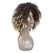 LMY Short Afro Kinky Curly Synthetic Wigs For Black Women Ombre Blonde Color Natural Hair Wigs With Bangs Cosplay Hair Cut (ombre blonde)