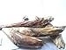 4 Directions Bushcraft Fatwood Pine Lighter Missouri Harvested Natural Waterproof fire Starting Pine Tinder Raw unprocessed