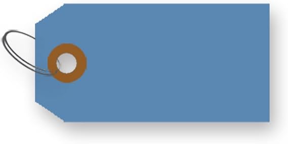 Amazon.com : Blank ID Tags - Pack of 250 (Blue) : Office Products