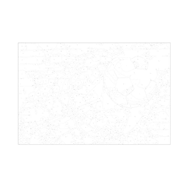 murando - Malen nach Zahlen Fussball 60x40 cm Malset mit Holzrahmen auf Leinwand für Erwachsene Kinder Gemälde Handgemalt Kit DIY Geschenk Dekoration n-A-0558-d-a – Bild 6
