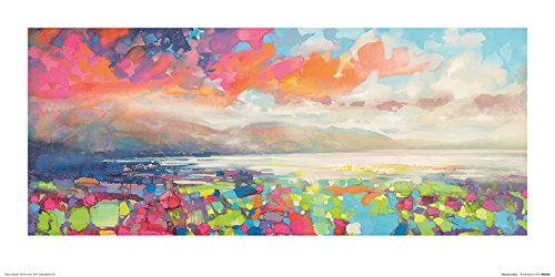 Scott Naismith (Resonant colour) 30 x 60cm Art Print
