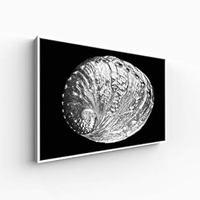 Canvas Wall Art for Living Room, Bedroom Black and White Article Framed Canvas Prints for Home Decoration Ready to Hang - 16x24 inches