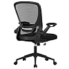 Home Office Chair Ergonomic Desk Chair Mesh Computer Chair Swivel Rolling Executive Task Chair with Lumbar Support Arms…