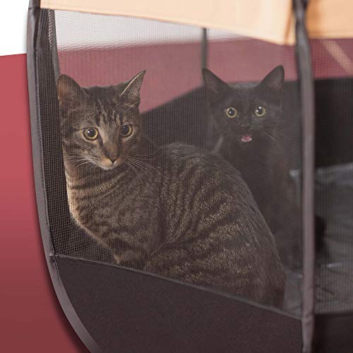 Easyology Pet Playpen for Indoor Cats and Small Dogs - 23” Tall x 30” Wide - Claw-Proof Mesh, Thick Zippered Foldable Pet Playpen - Travel Cat Kennel/Cat Crate with 10 Second Setup - Animal Playpen - Thumbnail 5