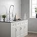 Kraus KPF-1602 Single Handle Pull Down Kitchen Faucet Commercial Style Pre-rinse in Chrome