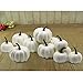 YOFIT 12 Pcs Thanksgiving Table Decorations Artificial Pumpkins, Fake Mini Plastic Pumpkins, Lifelike Simulation Foam Pumpkins Set Friendgiving Tabletop Decorations (White)