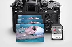 Sony M series SDXC UHS-II Card