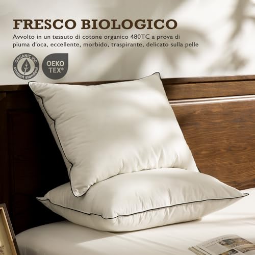 BPC Organic Feather and Down Pillow, 50 x 75 cm, Set of 2, Luxury 3 Bedroom Hotel Bed Pillow, 50 x 75 cm Cushion with 100% Cotton Cover, White