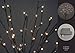 Hi-Line Gift LtdFloral Lights Lighted Willow Branch with 60 Bulbs, 20 inches