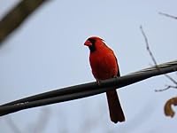 Review Image by Kenneth M Kenneth M