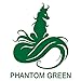 ARCTIC FOX Vegan and Cruelty-Free Semi-Permanent Hair Color Dye (4 Fl Oz, PHANTOM GREEN)