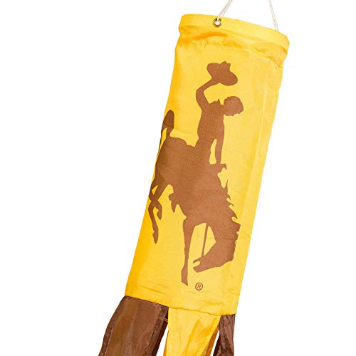 College Flags and Banners Co. Wyoming Cowboys Windsock