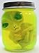 Potomac Banks Roswell Alien Fetus Specimen in 2-3/4
