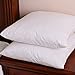 LunarTex Set of 2, Down and Feather Throw Pillow Insert, 100% Cotton, 24X24 inch