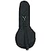 Superior C-3770 Trailpak II A or F-Model Mandolin Gig Bag