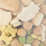 Extra Select Biscuit Medley Dog Treats in 3ltr Bucket - ~560 biscuits view 3