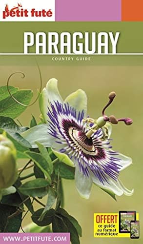 Download Guide Paraguay 2016 Petit Futé PDF