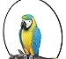 Ebros Patio Home Garden Hanging Scarlet Macaw Parrot Perching on Branch in Metal Round Ring Figurine Sculpture Nature Lovers Tropical Bird Collectors Decor 13.5