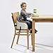 OXO Tot Nest Booster Seat with Straps, Taupe