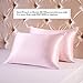 Ravmix Silk Pillowcase for Hair and Skin, 21Momme, with Hidden Zipper, Both Sides Silk, 1PCS, Queen Size 20×30inches, Pink