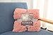 Soffte Cloud Super Soft Long Shaggy Warm Plush Fannel Blanket Throw Qulit Cozy Couch Blanket for Winter Dirty Pink(51